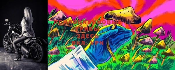 PSILOCYBIN Алексеевка
