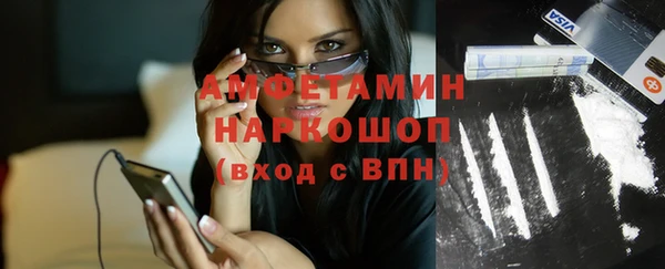 гидра Пересвет