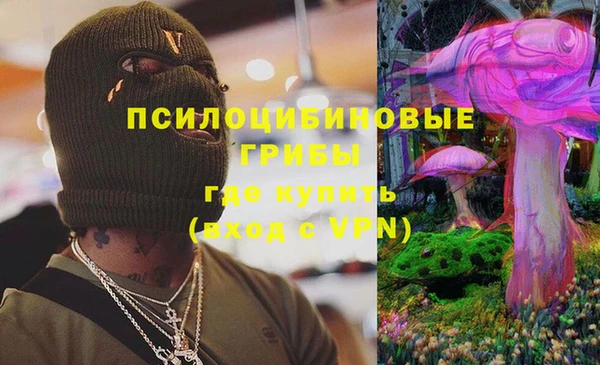 мескалин Алексин